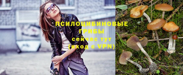 соль ск Верхнеуральск