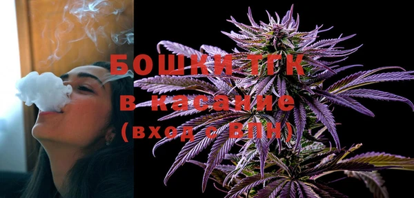 стаф Верея