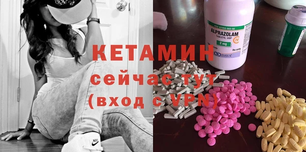 стаф Верея