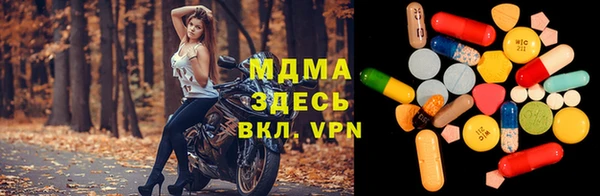 стаф Верея