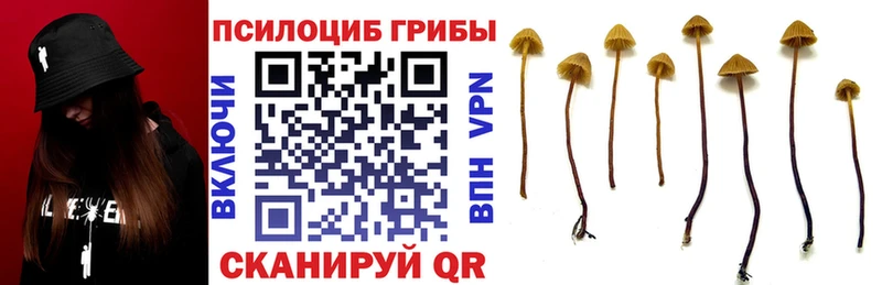 сколько стоит Пересвет даркнет телеграм Галлюциногенные грибы GOLDEN TEACHER